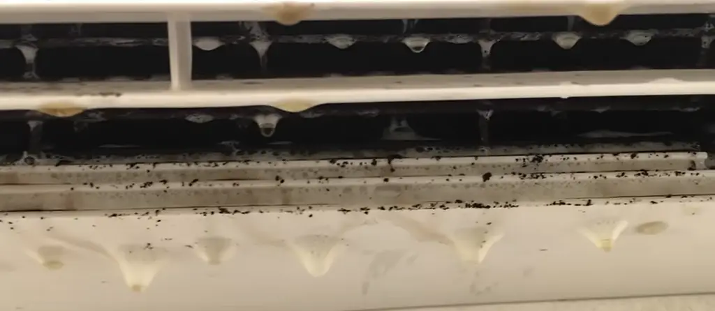 Why Does My Mini Split Keep Getting Mold?